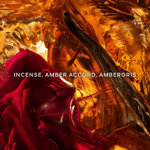 Absolus Allegoria Ambre Samar - Eau de Parfum GUERLAIN Absolus Allegoria Ambre Samar - Eau de Parfum GUERLAIN